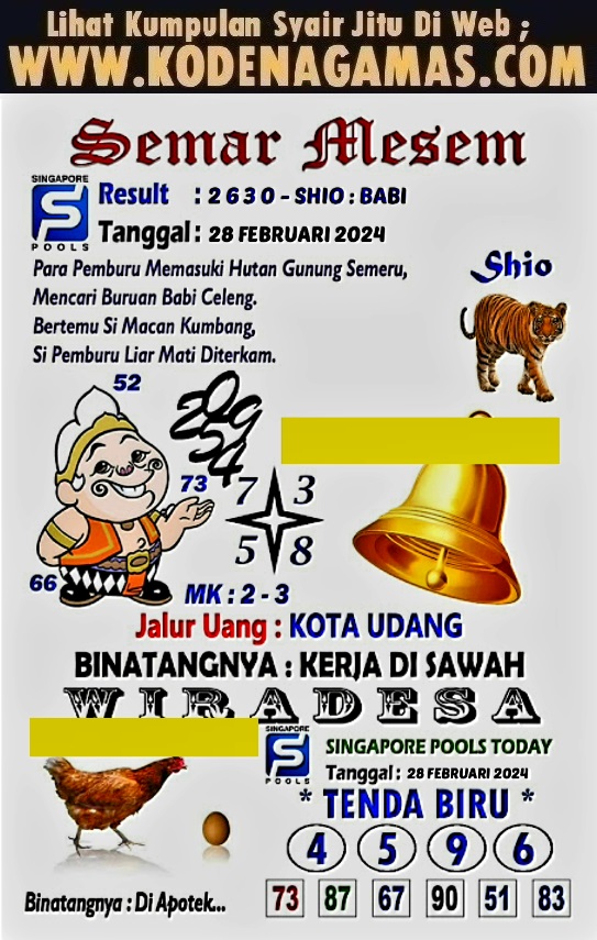 SYAIR SGP VIP